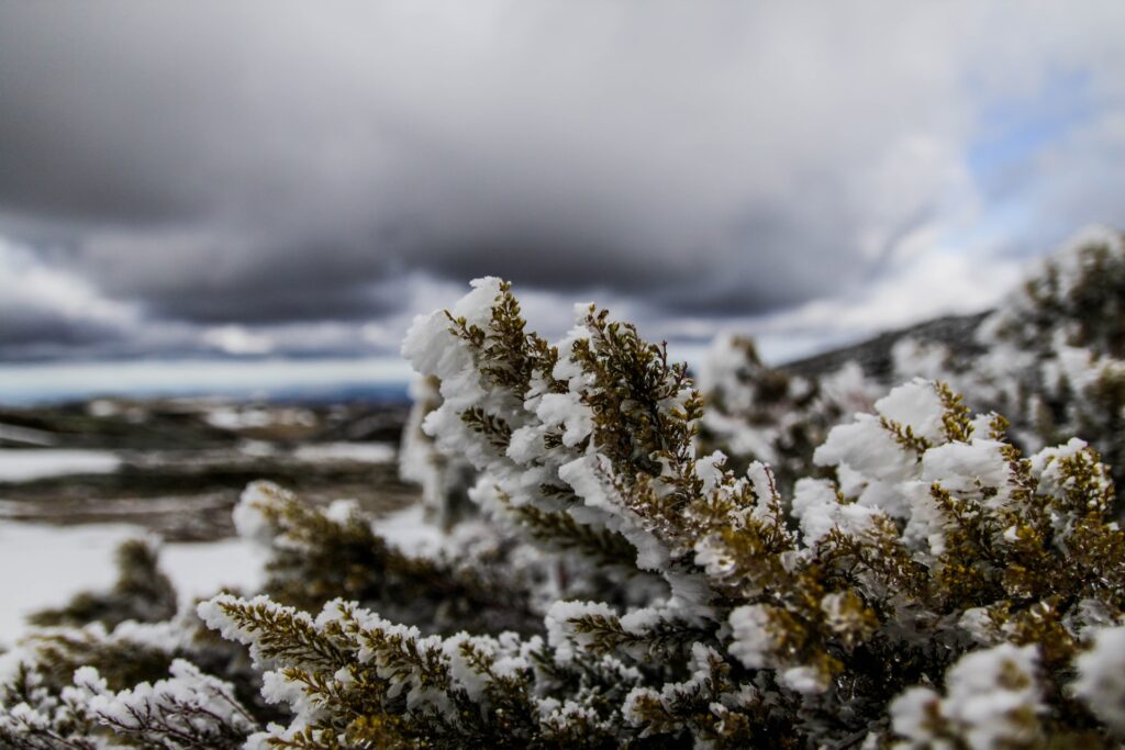 snow in portugal montalegre