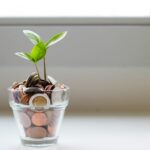 Capital Gains