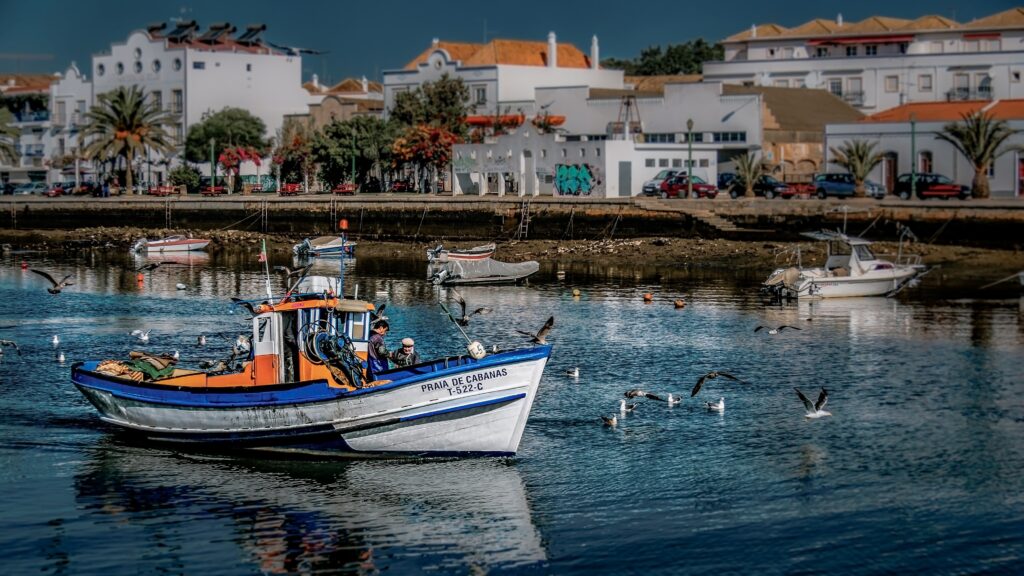 Best Places in Algarve for expats