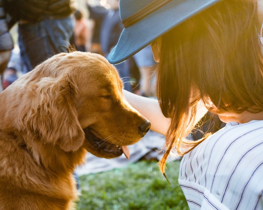pets friendly country portugac residency advisors