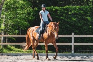 horse riding2 portugal residency advisors