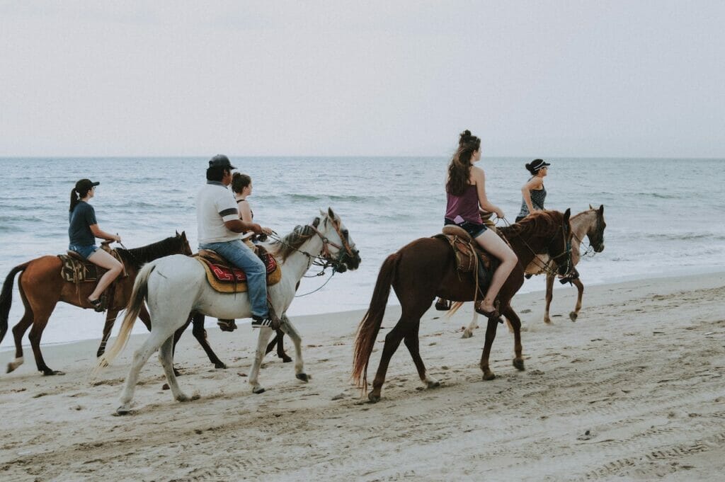 horseback portugal residency advisors