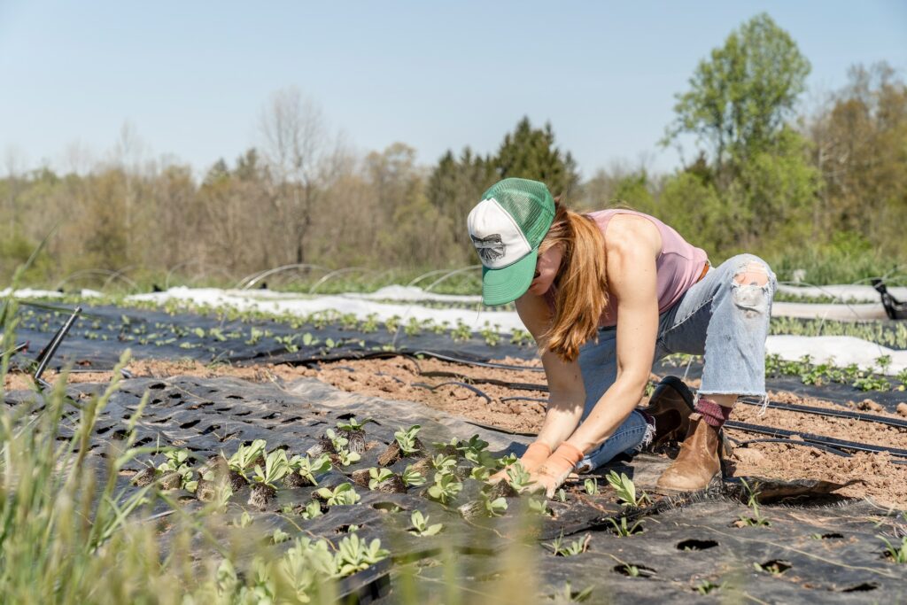 local groceries production