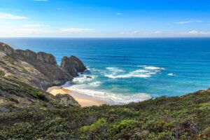 immigrate to Portugal from South Africa