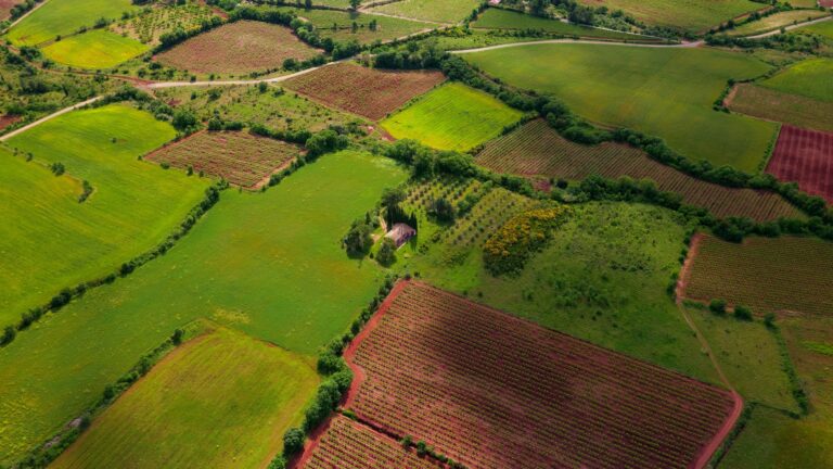 land for sale in Portugal