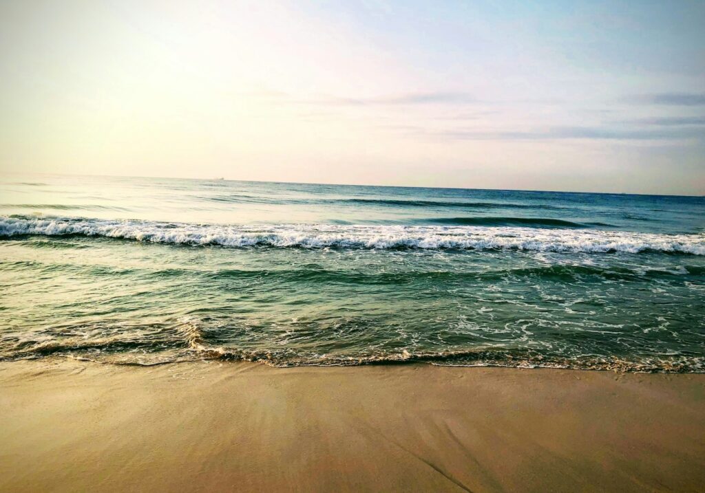 Comporta beach, Portugal